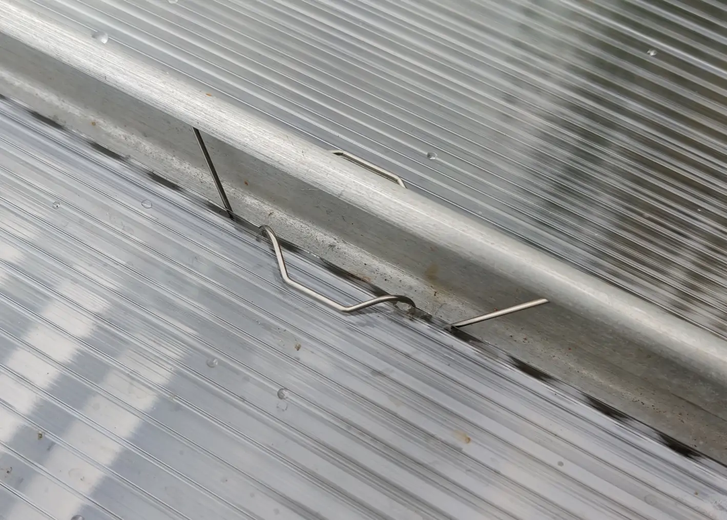 Greenhouse standard wire w-clip, a shaped metal wire pushing down on a plastic pane